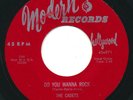 CADETS - If It Is Wrong / Do You WannA Rock - MODERN - Doo Wop R&B 45