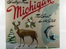 Sufjan Stevens - Greetings From Michigan The Great Lake State Vinyl Record LP