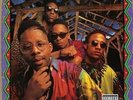 BRAND NUBIAN **One For All (30th Anniversary) *NEW RECORD LP VINYL