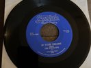 The Strollers In Your Dreams / Go Where Baby Lives 45 RPM States Records 7”