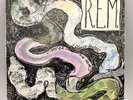 REM - RECKONING - LP Original 1984 I.R.S. RECORDS # SP-70044 R.E.M. Vinyl Record