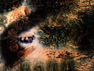 Pink Floyd - A Saucerful Of Secrets [VINYL]