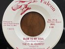 The C.A. Quintet Rare Private Garage Psych 45 Blow To My Soul NM- Falcon