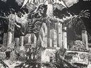 Insect Warfare - World Extermination 12” LP Colored Vinyl Limited Edition.