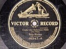 313p.  Billy Murray - Under the Anheuser Bush & It Takes the Irish - Victor 1624