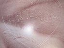BRAND NEW MELANIE MARTINEZ CRYBABY 2 LP DELUXE EDITION VINYL WEBSTORE EXCLUSIVE