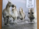 GEORG DANZER / GARISH : Weisse Pferde - LIMITIERT 295/333 - unveröffentl.  NEU
