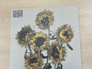 Cajun Dance Party - The Colourful Life - 12 Inch Vinyl - 2008 First Pressing