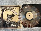 Lydia illuminate Vinyl