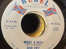 Bob Fry – What A Pity / I'm Gonna Be Gone 45 RPM Rebel Records F-252 VG+ 1965