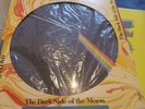 PINK FLOYD DARK SIDE OF THE MOON PICTURE DISC LP 1978 REISSUE RARE  Prog Rock