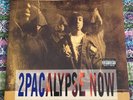 2Pac - 2Pacalypse Now - Tupac -  Vinyl LP Album - 2x LP - Mint Condition