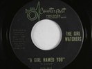 Garage Pop 45 - Girl Watchers - A Girl Named You - Counterpart - VG+