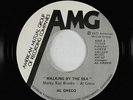 Folk AOR Synth 45 - Al Greco - Walking By The Sea - AMG - unknown?