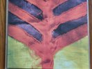 Show Your Bones by Yeah Yeah Yeah's (Record, 2006)