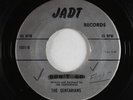 Garage/Surf 45 - Sentarians - Don't Go/Flight - Jadt - rare