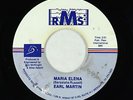 Private Exotica Synth 45 - Earl Martin - Maria Elena - RMS - VG+ unknown?