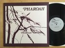 ・2008 Pharoah Sanders / Pharoah / India Navigation (2) IN 1027