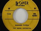 Roper Orchestra 