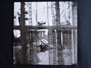 Paul McCartney – Chaos And Creation In The Backyard Vinyl LP Record