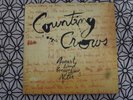 COUNTING CROWS August And Everything After 1992 ORIGINAL NEAR MINT INSERT