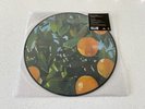 Lana Del Rey - Violet Bent Backwards Over the Grass Exclusive Picture Disc Vinyl
