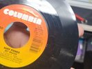 PEE WEE HERMAN SURFIN BIRD 45 7