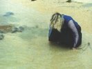 HOWLEY, Elaine - The Distance Between Heart & Mouth - Vinyl (LP)