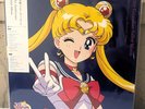 Sailor Moon 30th Anniversary Memorial Album LP Limited Color Vinyl