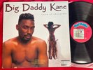 BIG DADDY KANE Taste Of Chocolate LP OG 1990 NM- PROMO #1-26303