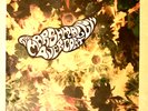 MARSHMELLOW OVERCOAT – THE INNER GROOVE – US – LP – 1987 – GARAGE/PSYCH