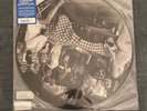 LANA DEL REY  CHEMTRAILS OVER THE COUNTRY CLUB Exclusive Picture Disc Vinyl NEW