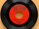 The Wooly Ones - Slings And Arrows / Put Her Down 45Rpm Garage Rock Rare Titan