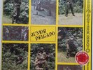 RARE SOUL REGGAE LOVERS ROCK ROOTS - JUNIOR DELGADO - BUSHMASTER REVOLUTION LP