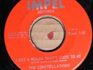 The Constellations IMPEL 4344 M- 