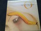 Perfect Circle Thirteenth Step 2003 Vigin EMI Vinyl LPs