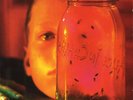 Sap/Jar of Flies by Alice in Chains (Record, 2010) (Double EP Vinyl)