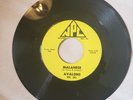 45 RPM VOCAL GROUP/AVALONS/MALANESE/BEGIN THE BEGUINE    NM