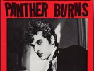 Tav Falcos Panther Burns Behind The Magnolia Curtain Fan Club Vinyl LP