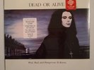*SEALED* Dead Or Alive Mad, Bad, & Dangerous To Know 1986 Orig 1ST Press