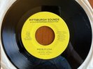 The Royal Jesters & The Lucky Legionnaires Wisdom Of A Fool / Pinball 45 Record