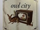 [Japan Used Record] Owl City Fireflies Inch Vinyl
