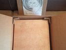 Alkaline Trio Past Live UNPLAYED MINT GOLD VINYL 8LP WOODEN BOX 500 COPIES ONLY