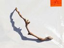 PJ Harvey I Inside the Old Year Dying (Vinyl LP 12