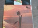 The Pretty Things - Parachute - Used Vinyl Record LP