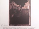 LP SURFER ROSA - PIXIES (#652637080315)