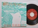 BUILT TO SPILL - So And So So And So 1994 INDIE ROCK Doug Martsch