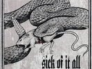 Sick Of It All - Last Act Of Defiance (ltd. ed.) (gray vinyl) - Vinyl LP - Recor