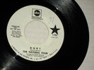 45rpm THE NATURAL FOUR hurt(WL PROMO)ABC 11253 nice SEE PICS