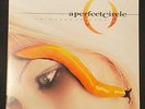 A Perfect Circle - Thirteenth Step 2LP Vinyl Gatefold, Virgin, (2003) EX/EX